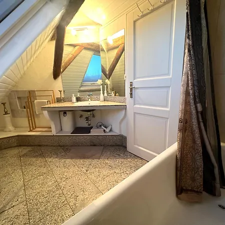 180 Qm Biberburg, In Der Romantischen Roedermuehle An Der Fraenkischen Saale In Deutschlands Mitte, 8 Km Zur A7 Apartmán